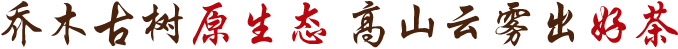 中吉號